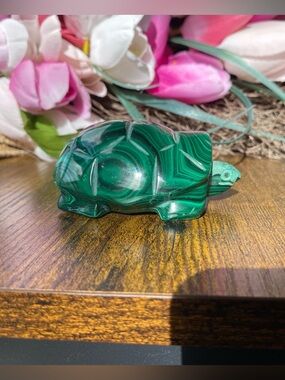 Large Malachite Turtle